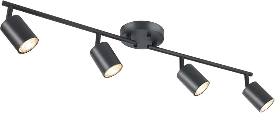 Matte Black Track Lighting (Adjustable Heads)